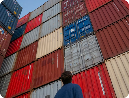 Xuất nhập khẩu uỷ thác